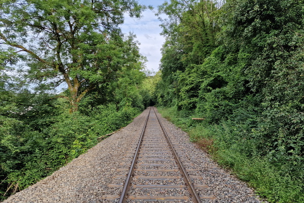Train 1900 rail