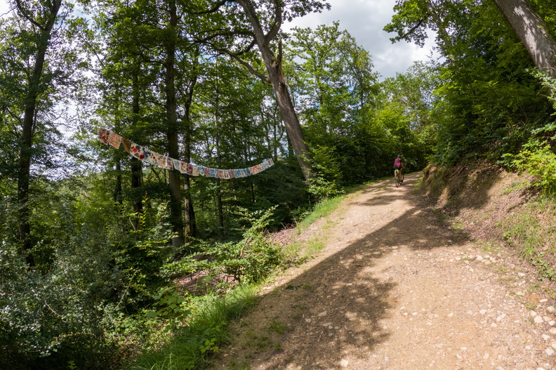 20240707_161848.jpg