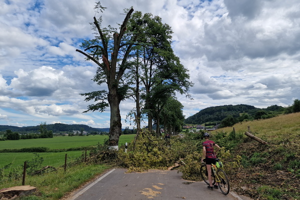 After the thunderstorm near Gosseldange