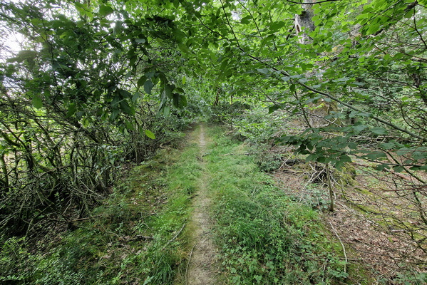 Path near Betzdorf
