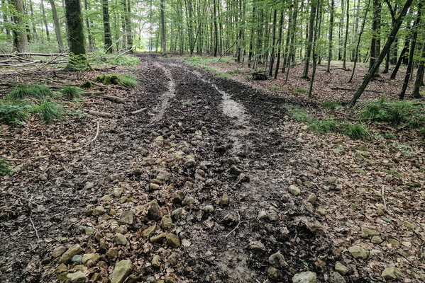 Bumpy dirty track