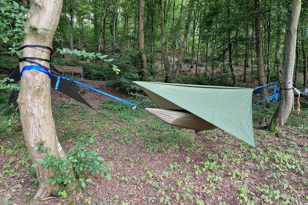 Hammock