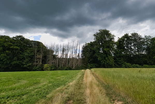 Threatening sky near Keispelt