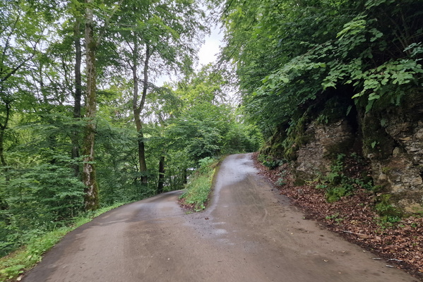 Road fork