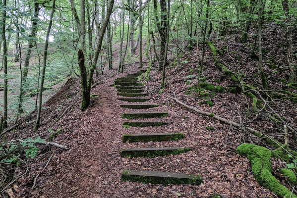 Steps