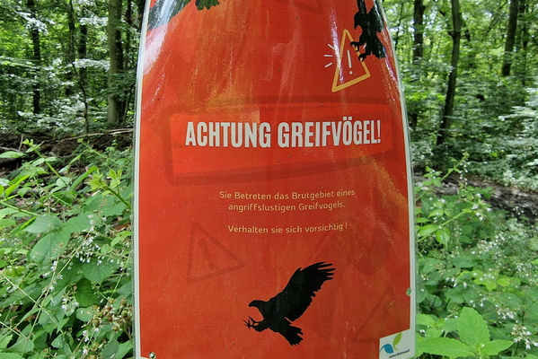 Watch for birds of prey!