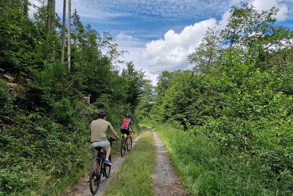 Track in Kirel valley
