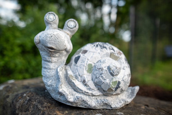 Happy snail