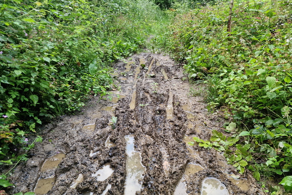 A puddle of mud
