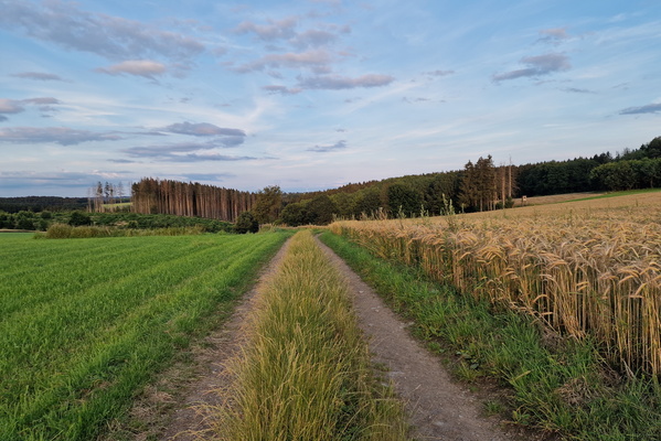 Track near Deiffelt