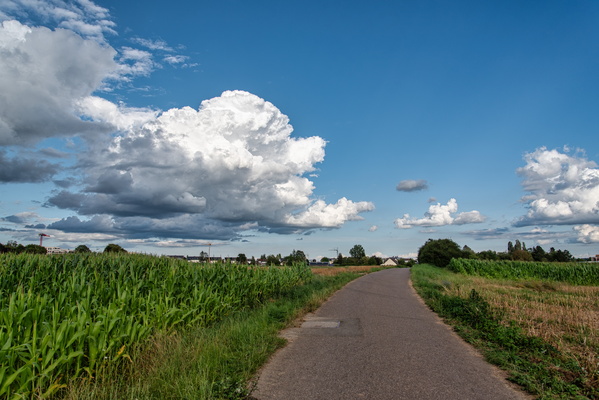 Clouds in the sky