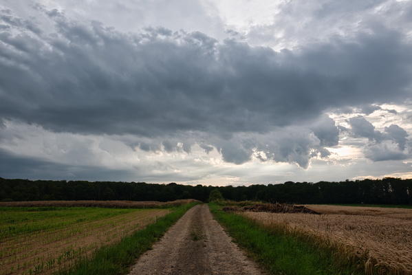 Stormy weather ahead!
