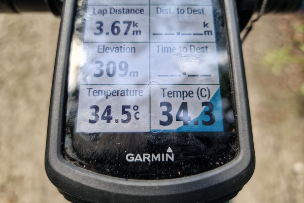 A hot summer's day!