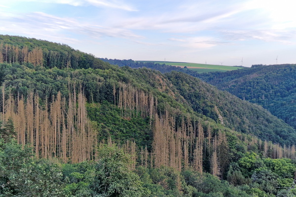 Valley near Kautenbach