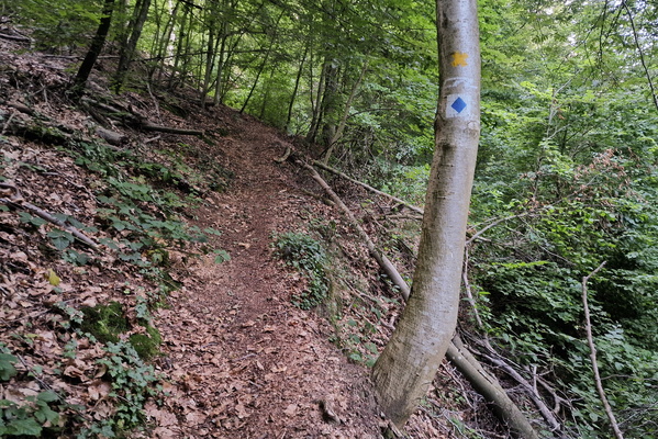 Sentier de la Mamer