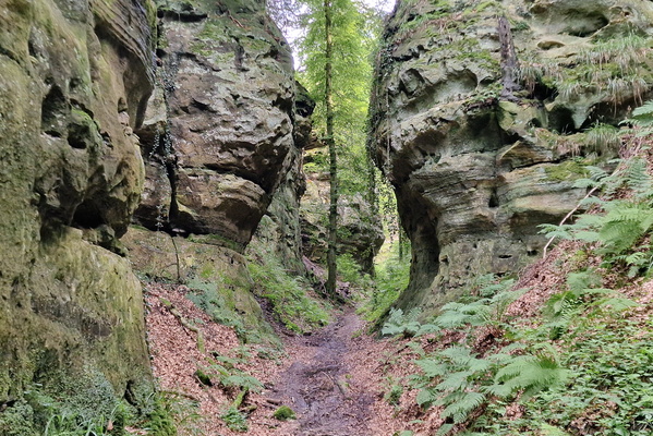 Path near Fischbach