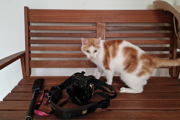 Timmy interested in photography