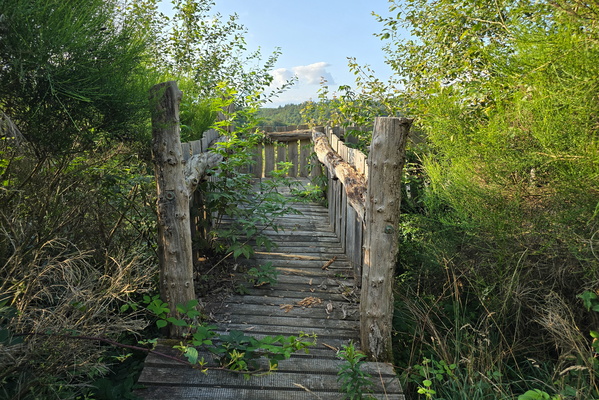 Viewpoint in Härebësch