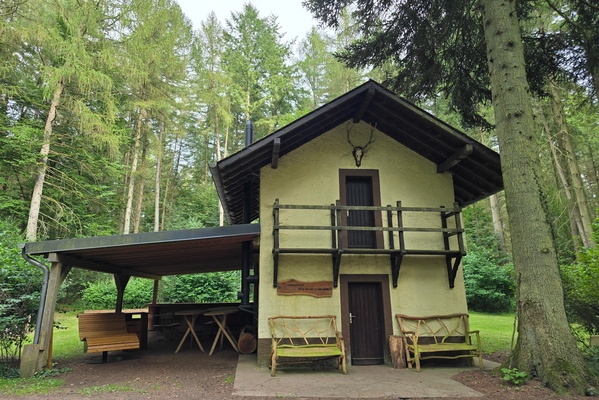House in the forest