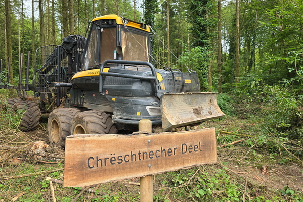 Forestry machine