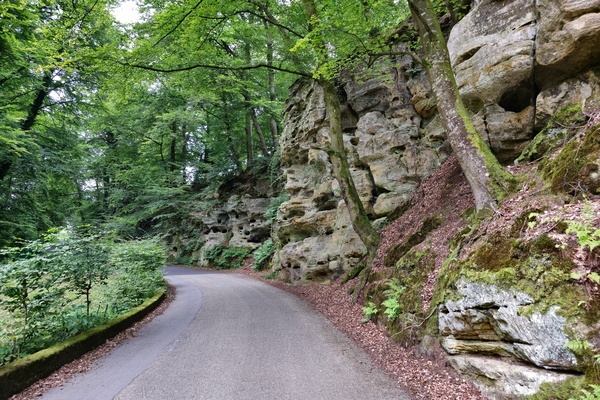 Road near Hersberg