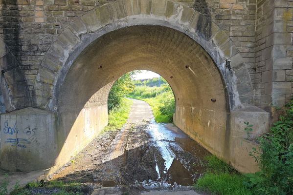 Mud under the bridge