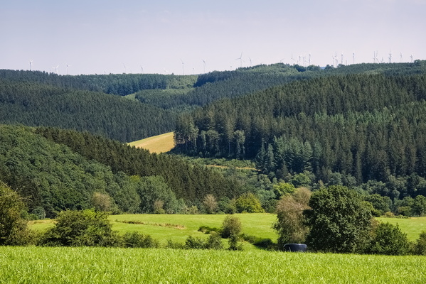 Valley near Medendorf