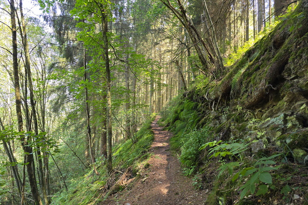 Path next to the Our
