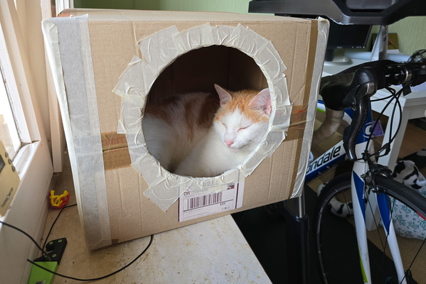 Timmy in a box