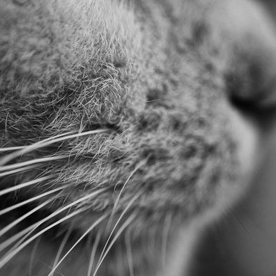20240802_170651.jpg