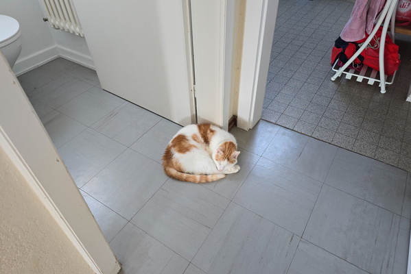 Timmy's new sleeping corner