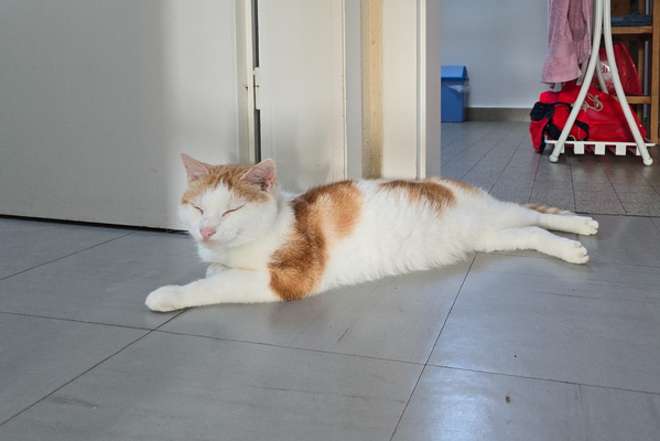 Timmy on the top floor