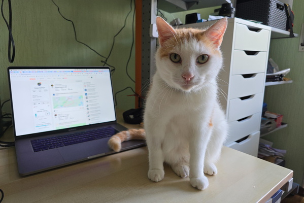 Timmy on the desk