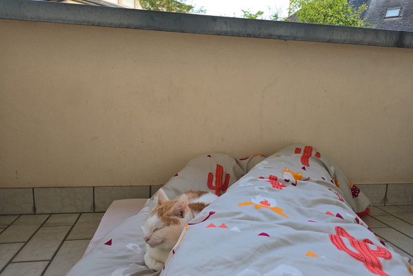 Timmy sleeping outside with me