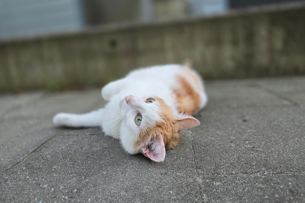 Timmy outside