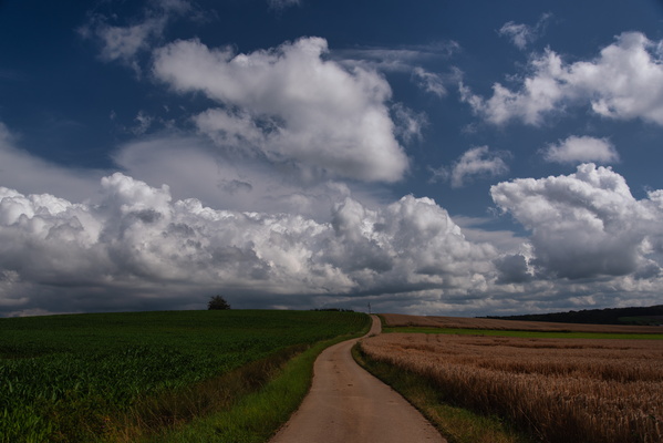 A path to freedom