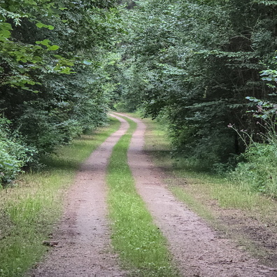 20240803_200930.jpg