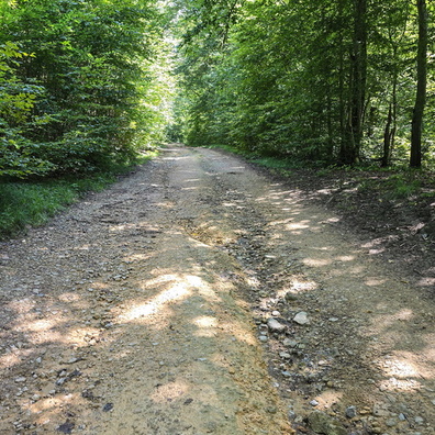 20240805_144006.jpg