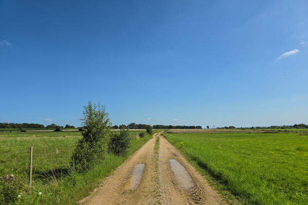 Track between Aspelt and Filsdorf