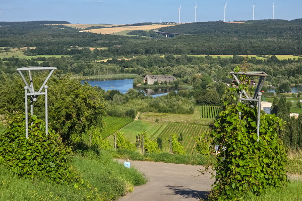 A vista of vineyards and valleys