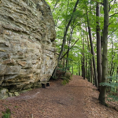 20240806_160910.jpg