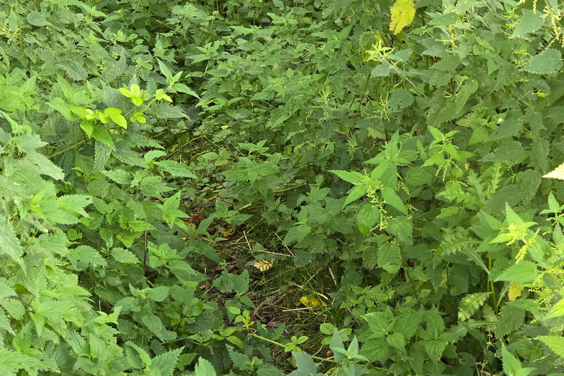 20240806_171913.jpg