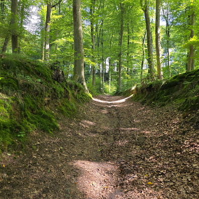 20240808_150640.jpg