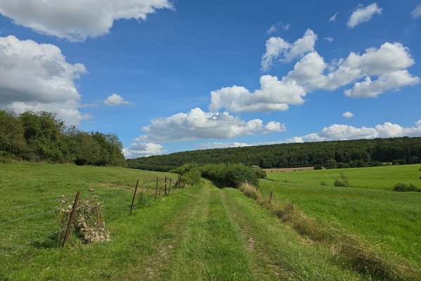Track near Eschweiler (which one?)