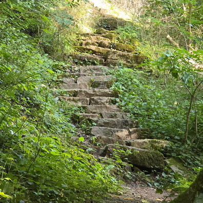 20240808_173445.jpg