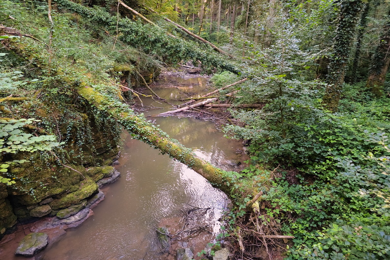 20240808_180730.jpg