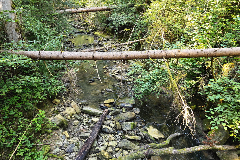 20240808_180854.jpg