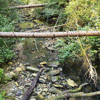 20240808_180854.jpg