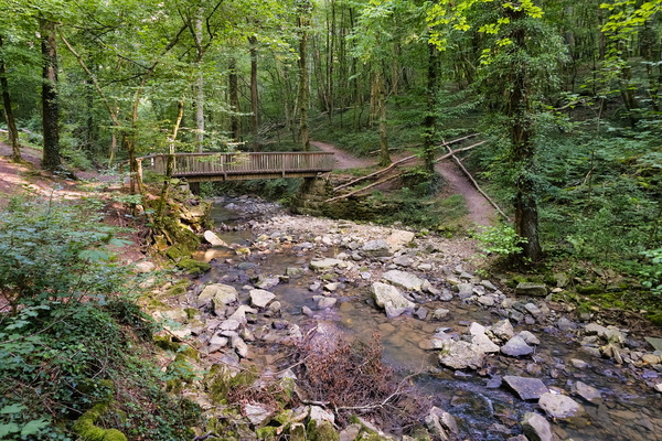 Bridge across the stream