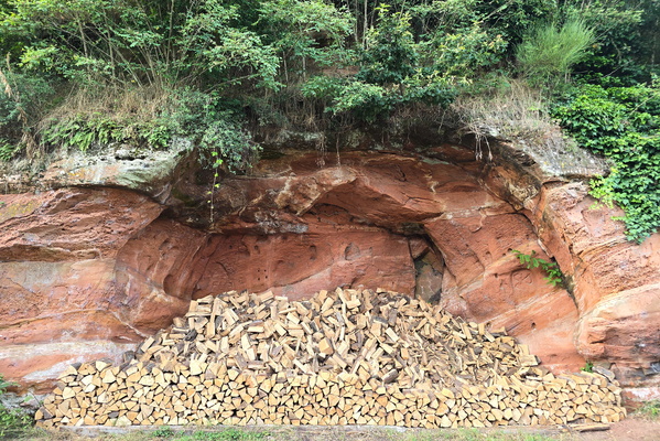 Found a cool wood store in a cave!